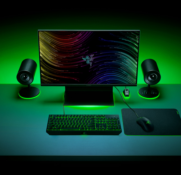 Razer雷蛇黑寡妇蜘蛛标准版电竞电脑游戏机械键盘